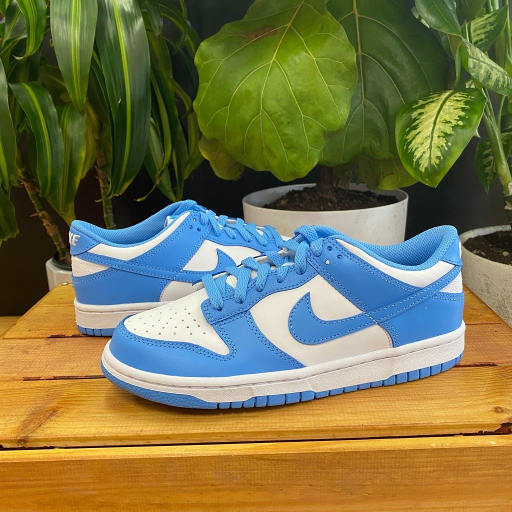 mens nike university blue
