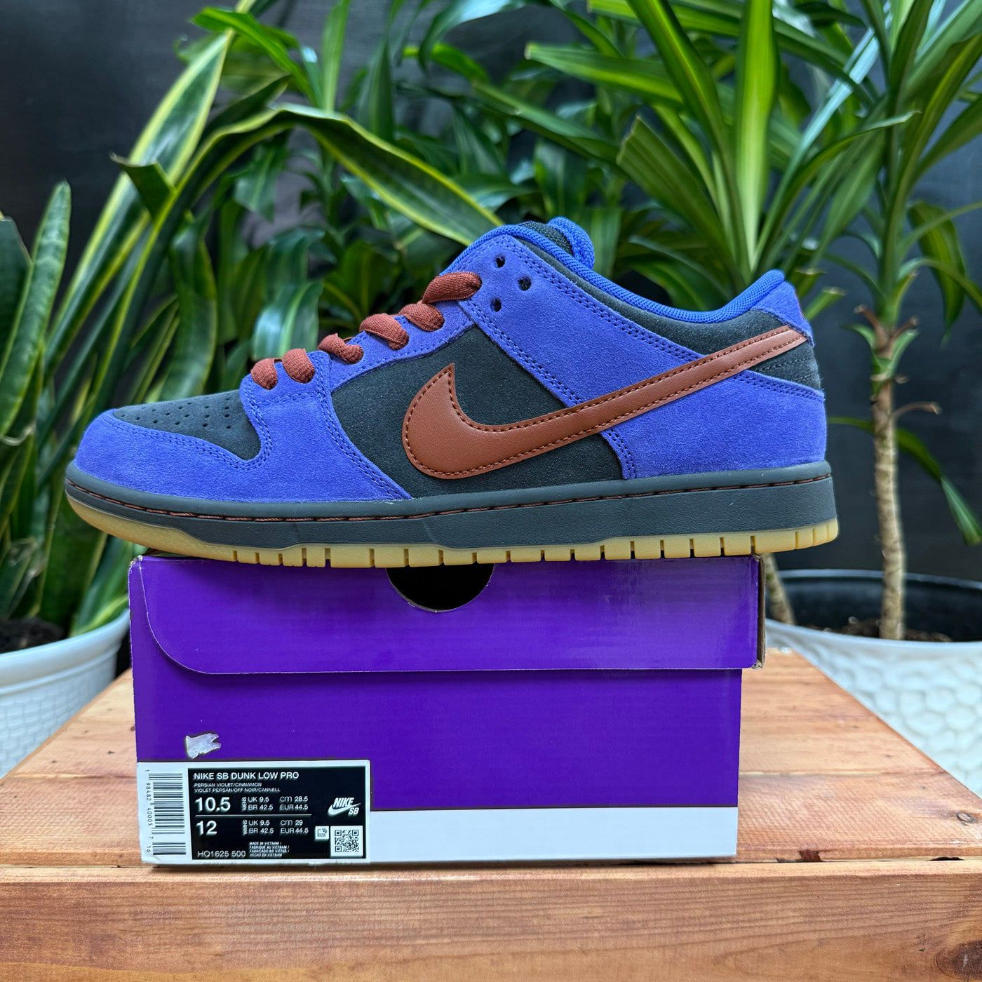 Nike SB Dunk Low Persian Violet, Mens 10.5, W12