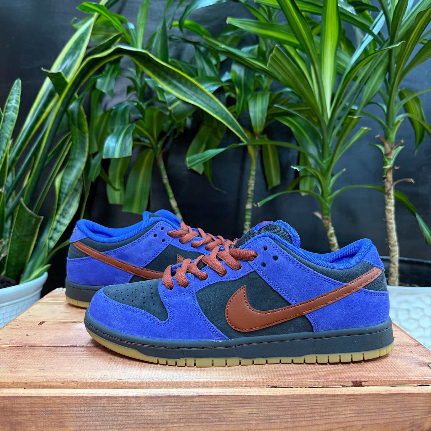 Nike SB Dunk Low Persian Violet, Mens 10.5, W12