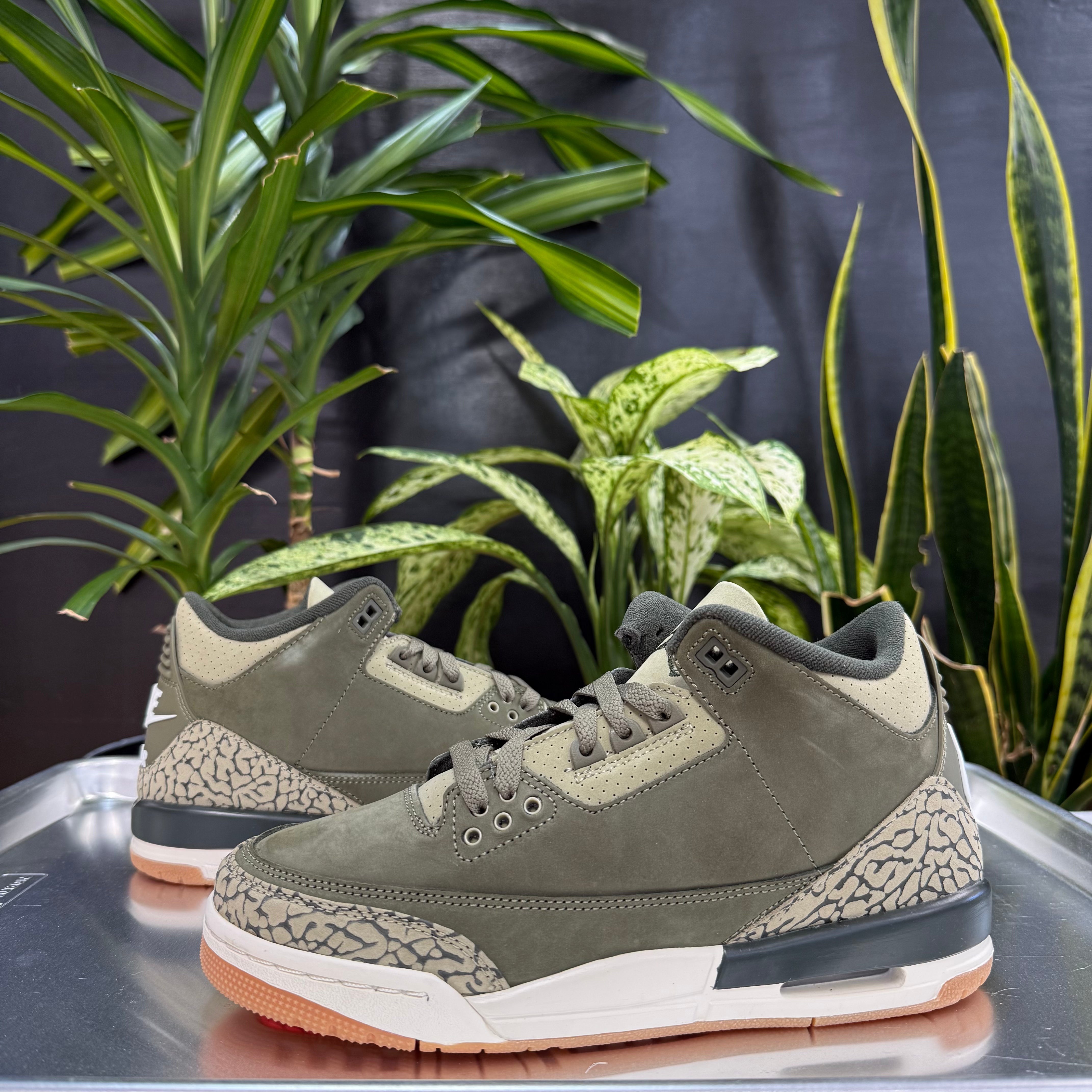 Jordan 3 Retro Family Affair