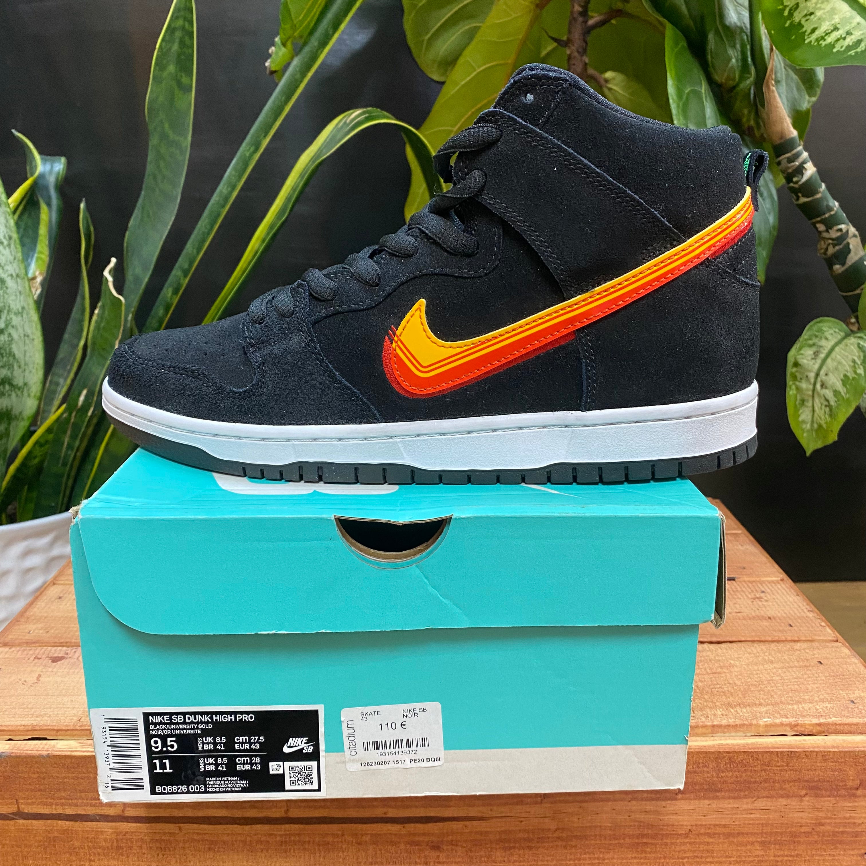 Citadium nike sb best sale