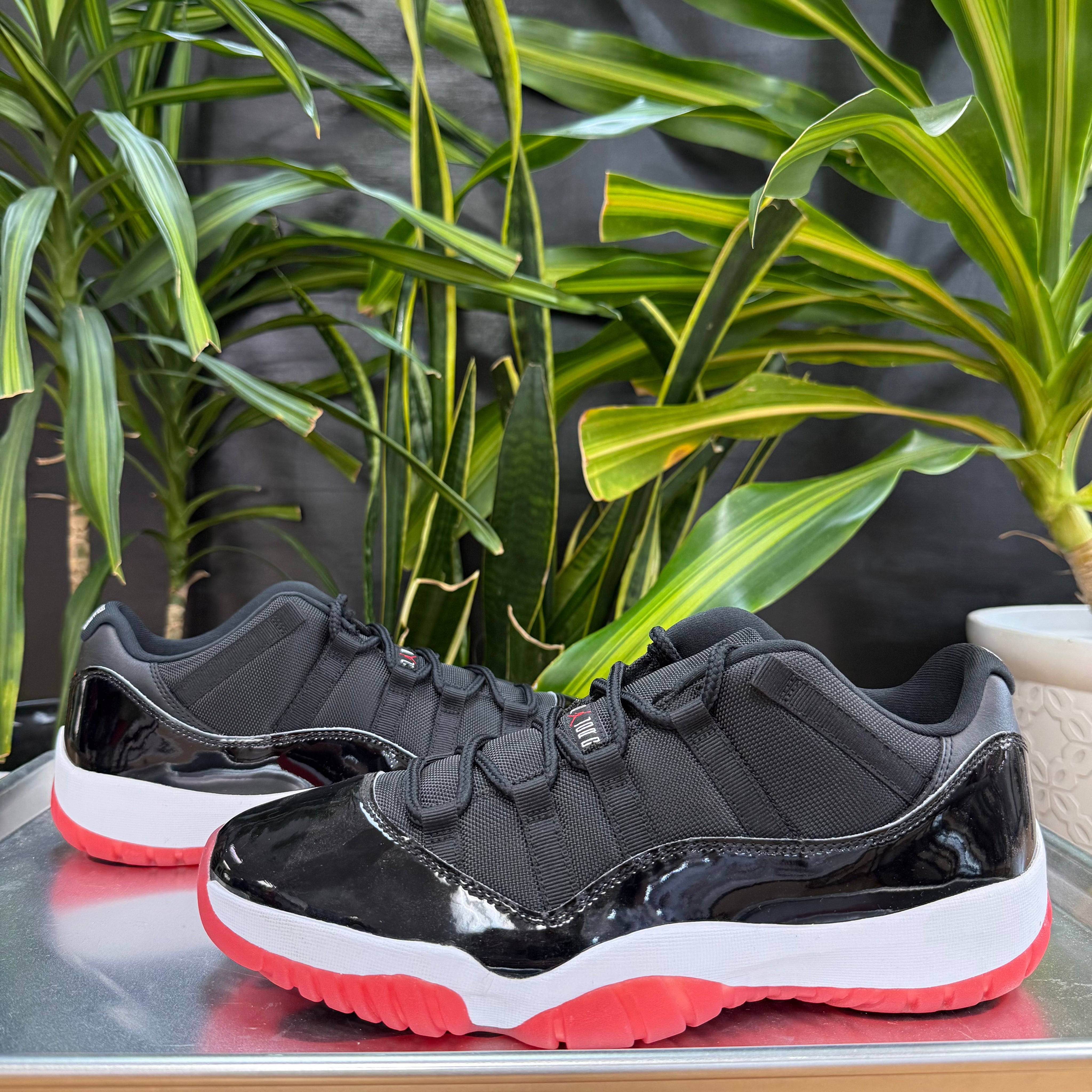 Jordan 11 Retro Low Bred (2025)