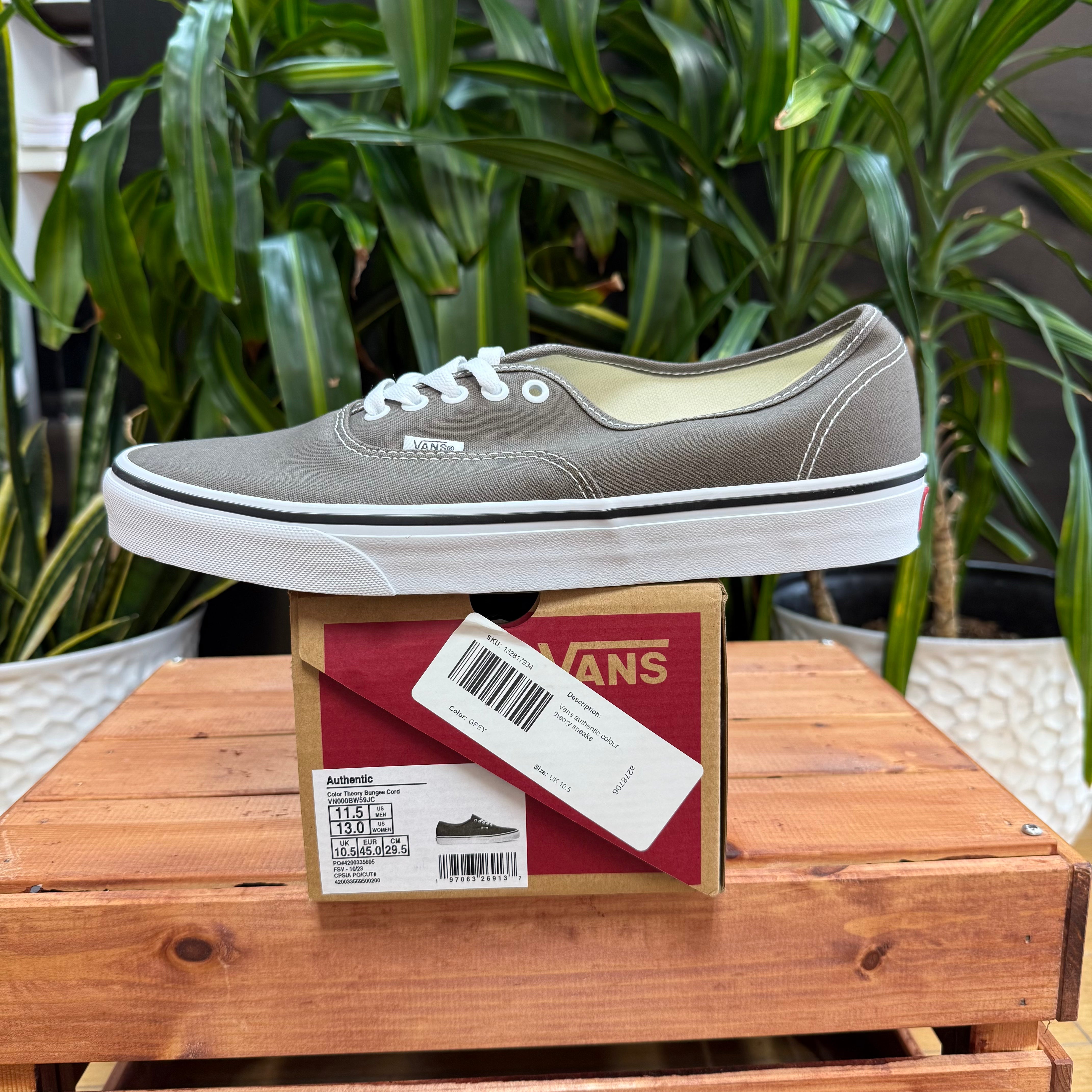 Vans Authentic Color Theory Skate Shoe, Mens 11.5