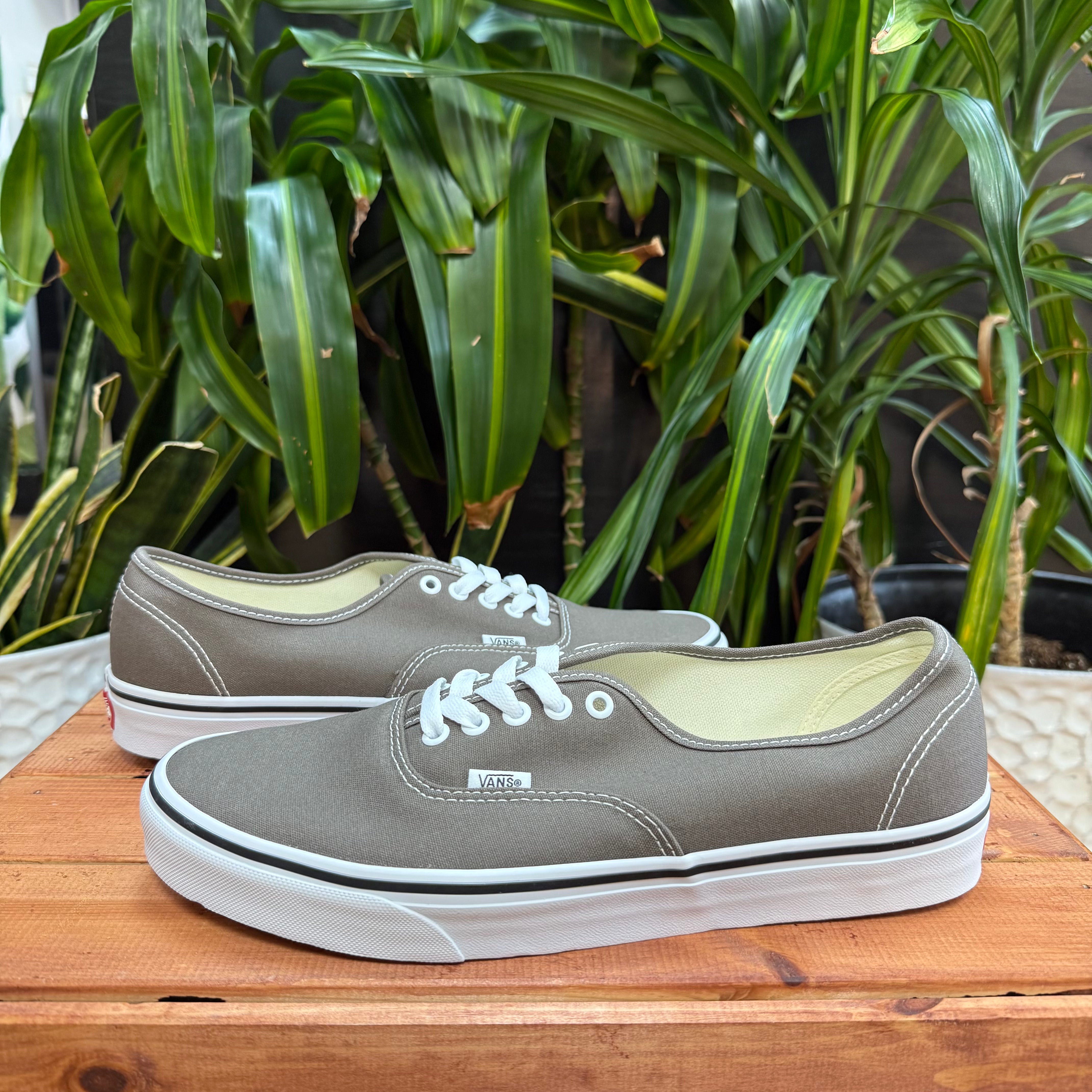 Vans Authentic Color Theory Skate Shoe, Mens 11.5