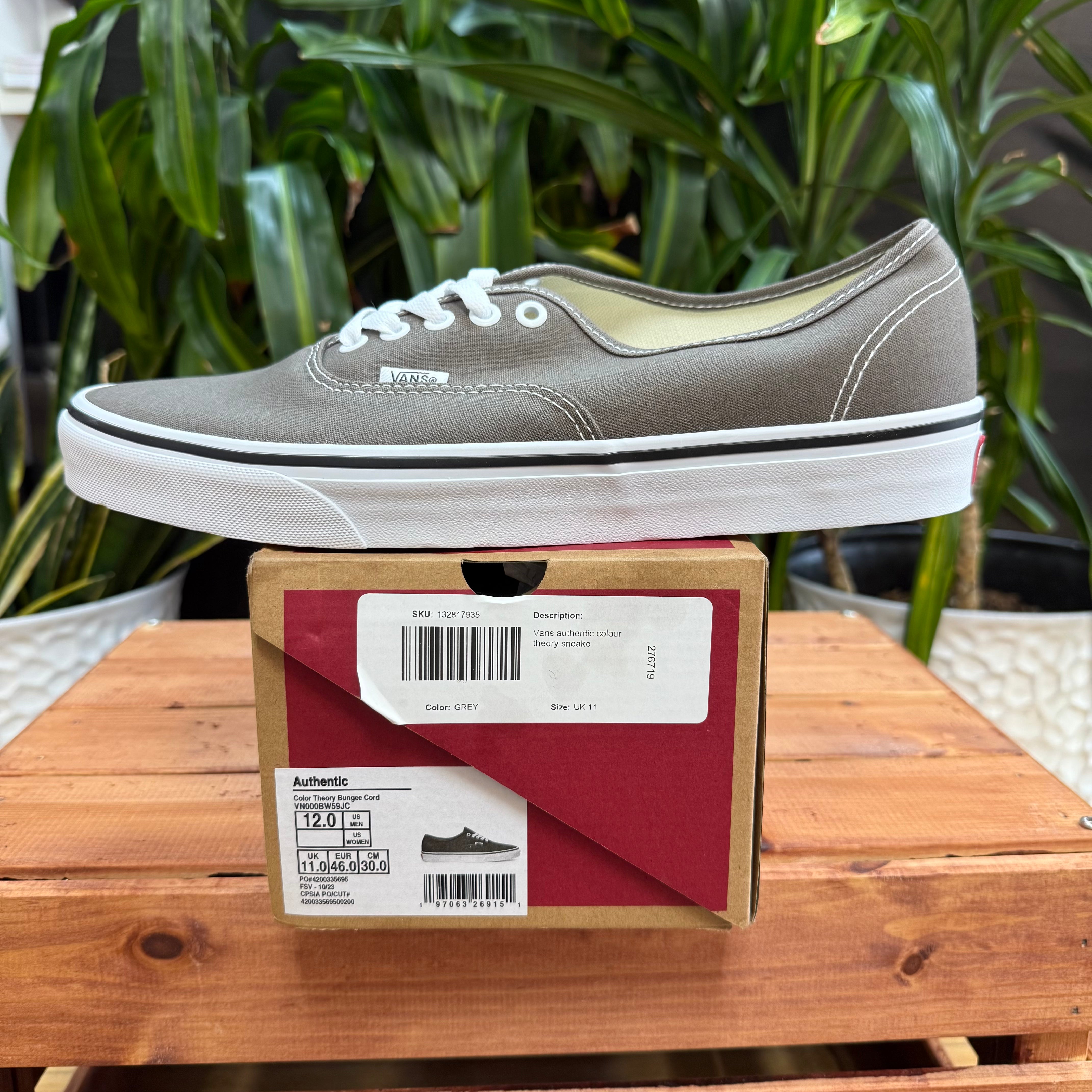 Vans Authentic Color Theory Skate Shoe, Mens 12