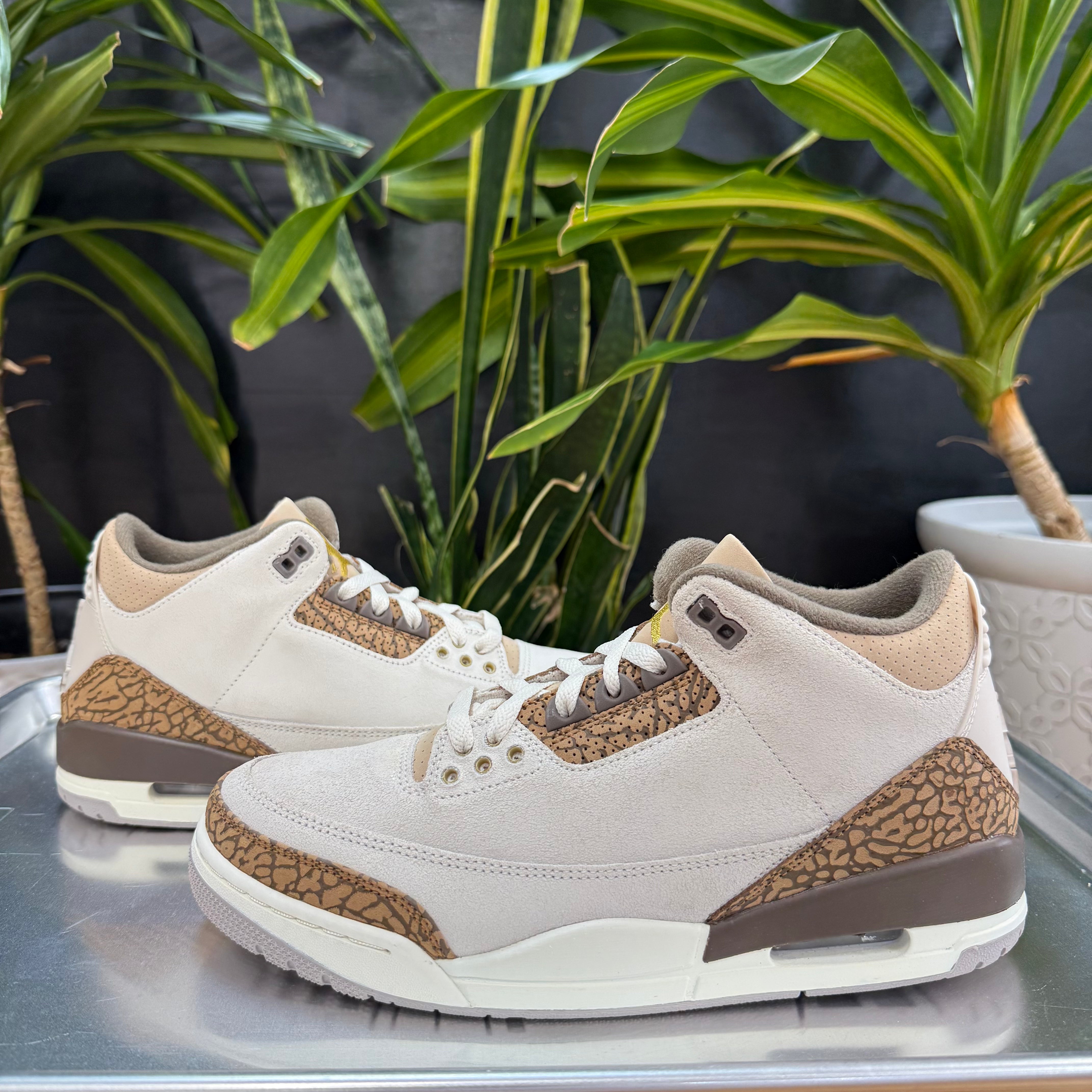 Jordan 3 Retro Palomino
