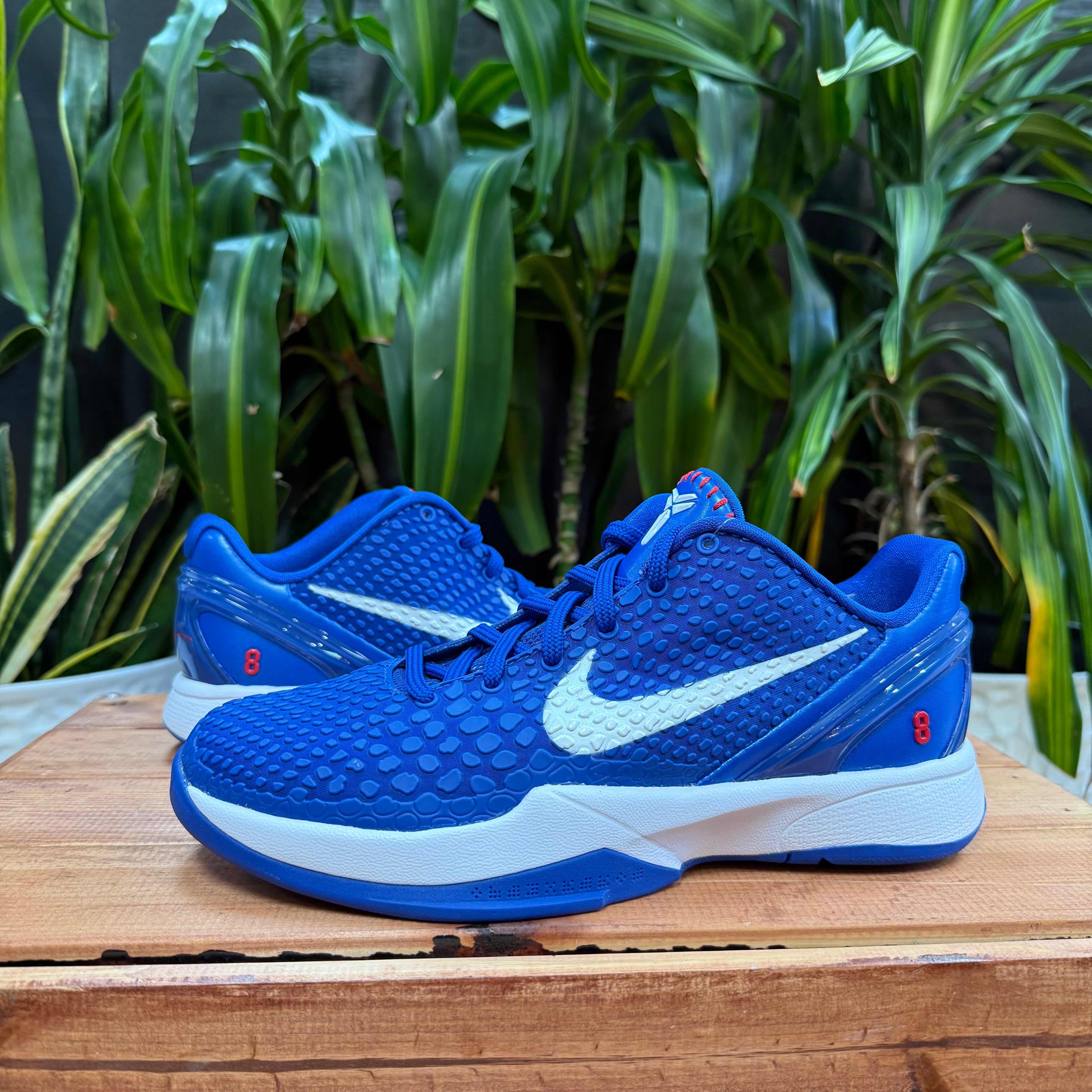 Nike Kobe 6 Protro 'Dodgers', Mens 7, W8.5