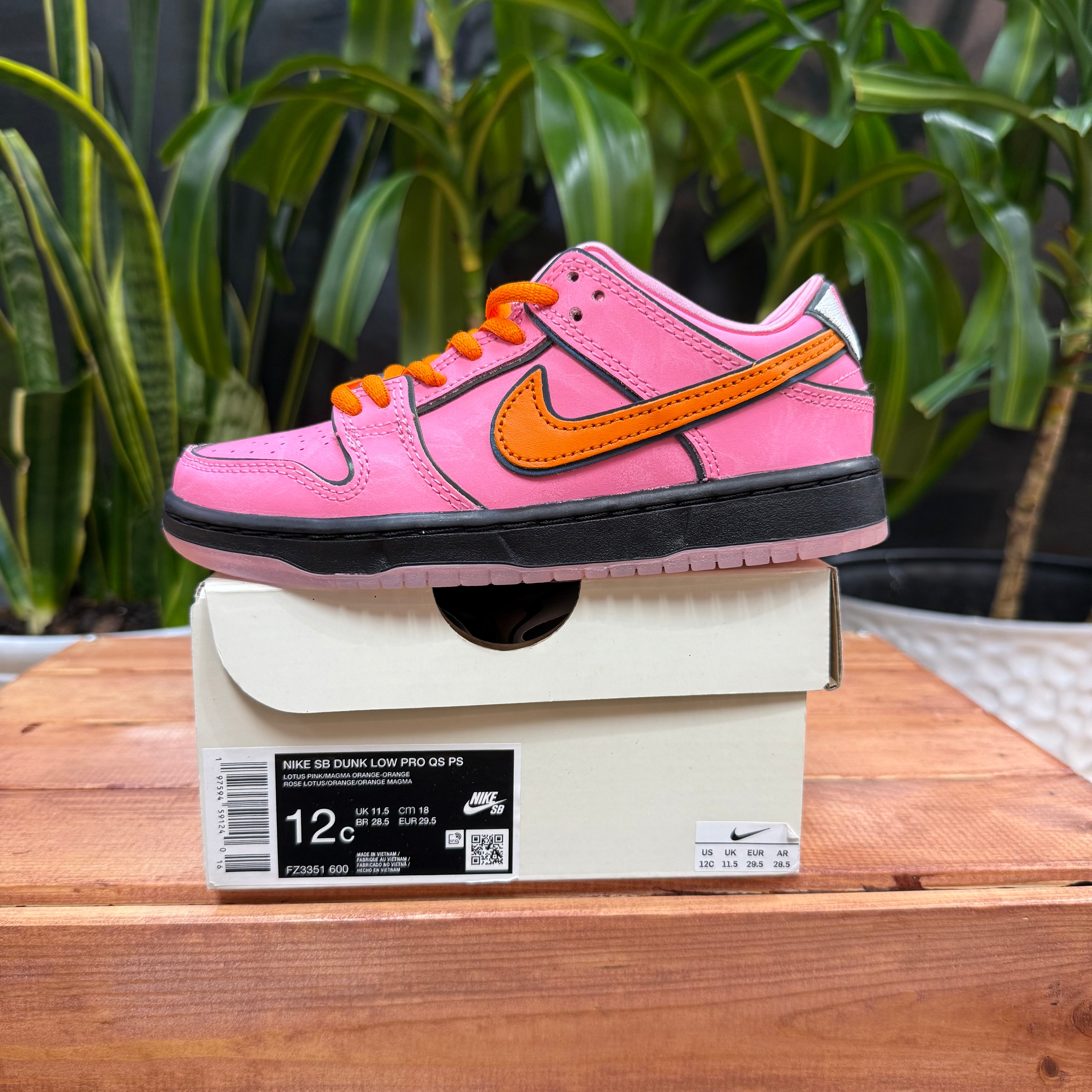 Nike SB Dunk Low x The Powerpuff Girls 'Blossom', 12C