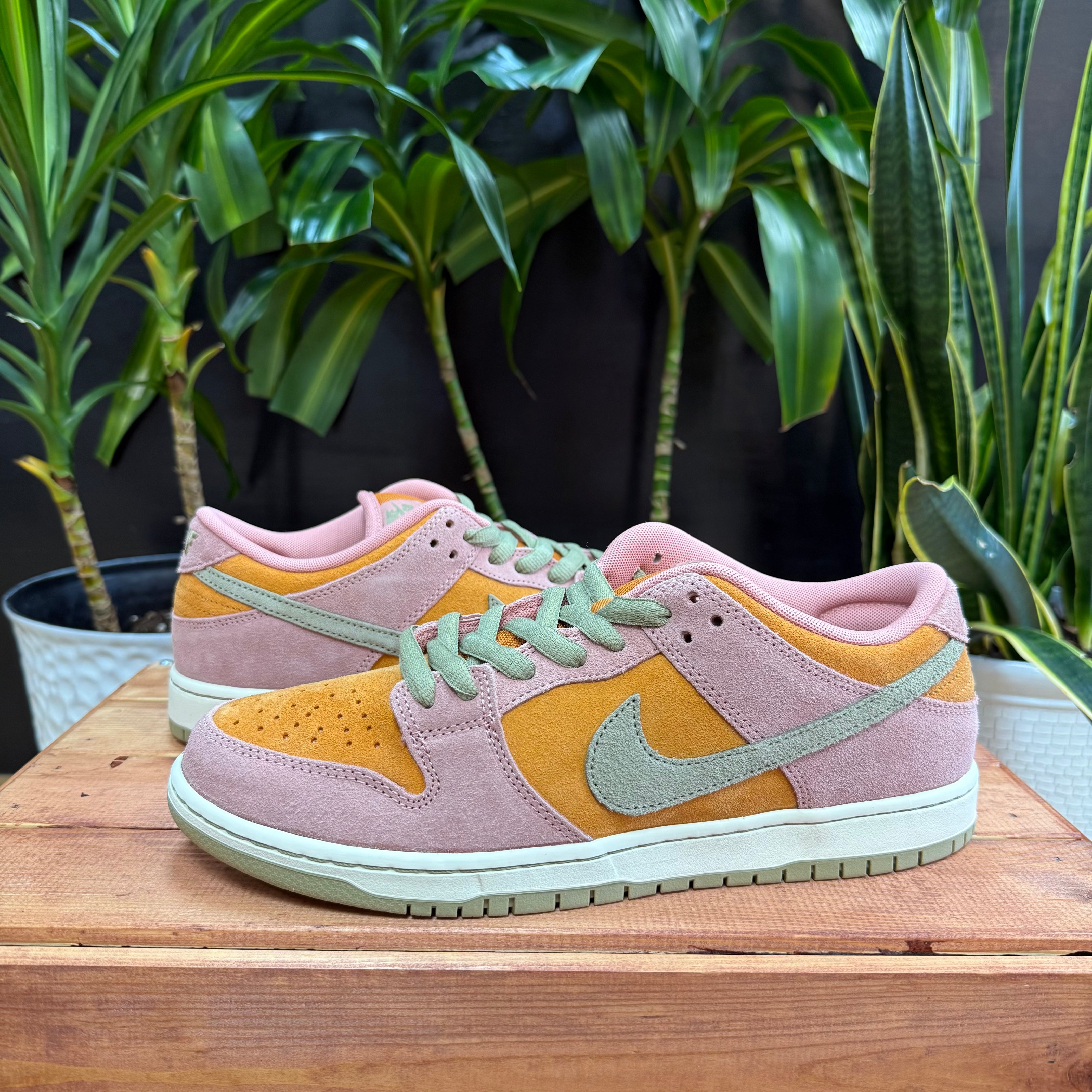 Nike SB Dunk Low Red Stardust, Mens 11.5, W13